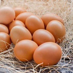 ไข่ไก่(ดิบ)