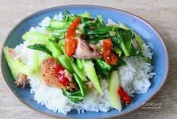 ข้าวราดคะน้าหมูสับ