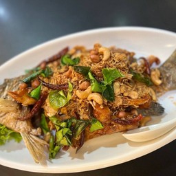 ปลากะพงกวิสรา