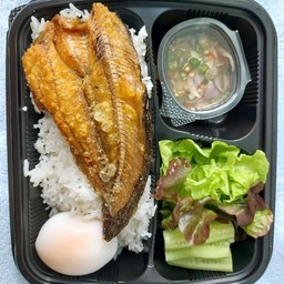 ข้าวกล่องปลาดุแดดเดียวพร้อมไข่ต้ม