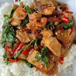 กะเพราหมูกรอบ/ราดข้าว