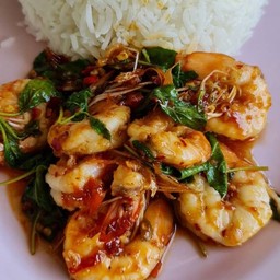 กระเพรากุ้ง