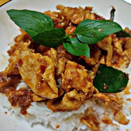 ผัดพริกแกงหมูใบโหรพา