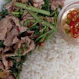 ผัดผักกระเฉดหมูชิ้นราดข้าว