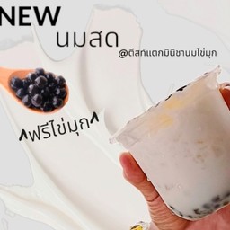 มินิชานม นมสด