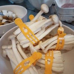 เห็ดขาว