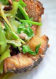 ปลาช่อนผัดตั้งโอ๋