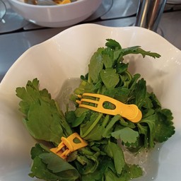 ผักขึ้นช่าย