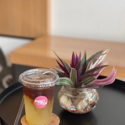 BLACK YUZU