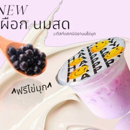 มินิชา เผือกหอม นมสด