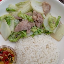 ผัดผักกาดขาวหมูชิ้นราดข้าว