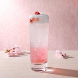 ลิ้นจี่โซดส