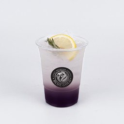BLUEBERRY SODA