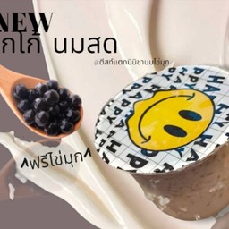 มินิชานม โกโก้ นมสด