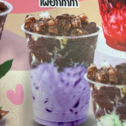 เผือกโกโก้