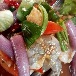 อีสาน-แซ่บนัวร์