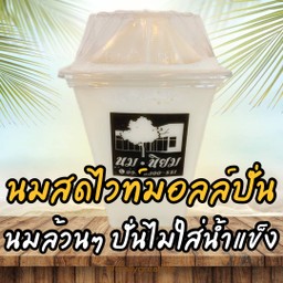 นมสดไวท์มอลล์ปั่น (นมล้วนๆ ปั่นไม่ใส่น้ำแข็ง)