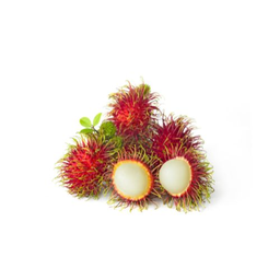 MENU_2643073AZ_1716025906