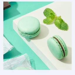 Chocolate Mint Macaron