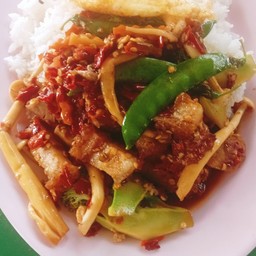 กระเพราหมูกรอบราดข้าว