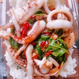 กะเพราปลาหมึก ราดข้าว