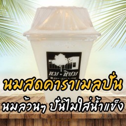 นมสดคาราเมลปั่น (นมล้วนๆ ปั่นไม่ใส่น้ำแข็ง)