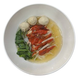 ก๋วยเตี๋ยวเป็ดย่าง+ลูกชิ้น