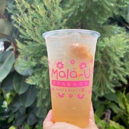 น้ำบ๊วยเย็น