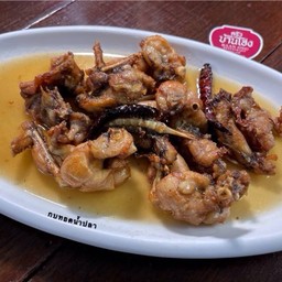 กบทอดน้ำปลา