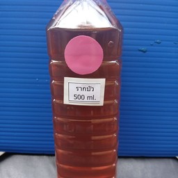 น้ำรากบัว