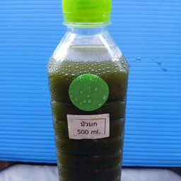 บัวบก มีน้ำตาล