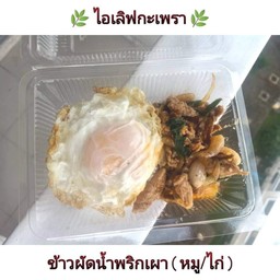 ข้าวหมูทอด - จอมทอง จอมทอง12
