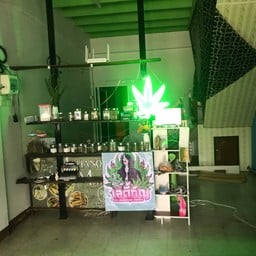 เลดี้กัญร้านกัญชาบขส.เมืองพล