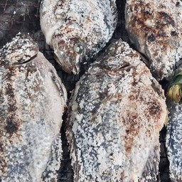 ปลานิลเผา