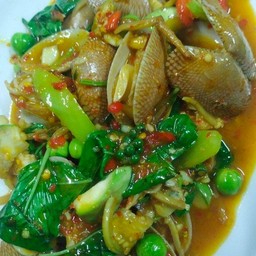 หอยลายผัดฉ่า (กับข้าว)