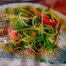 ยอดอ่อนทานตะวันน้ำมันหอย (กับข้าว)