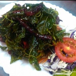 เยี่ยวม้ากระเพรากรอบ (กับข้าว)