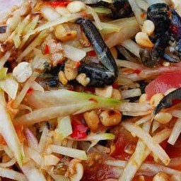 ส้มตำไทยปู