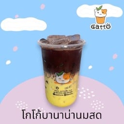 กัตโตะชา Gatto Cha ตลาดอ่างทอง