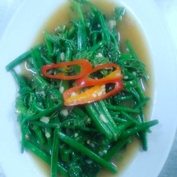 ยอดฟักแม้วน้ำมันหอย (กับข้าว)