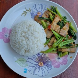 ผัดคะน้าราดข้าว