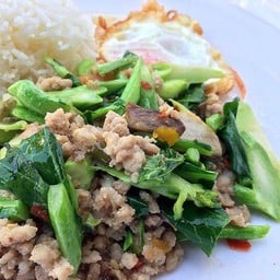 คะน้าหมูชิ้นราดข้าว