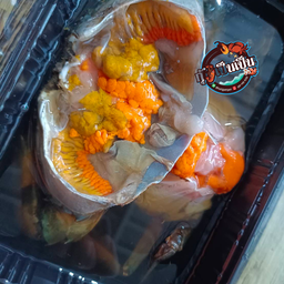 ปูไข่ดอง SSS (1 ตัว)