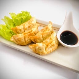 เกี๊ยวซ่าไก่ ( Chicken Gyoza )