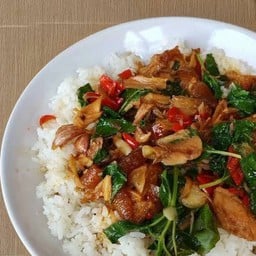 กะเพราไก่ย่างราดข้าว