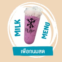 เผือกนมสด