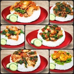 กะเพราจริงใจ