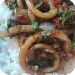 ผัดกะเพราปลาหมึก ราดข้าว