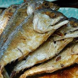 ปลาทูนึ่งทอดขนาดใหญ่