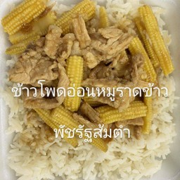 ข้าวโพดอ่อนหมูราดข้าว